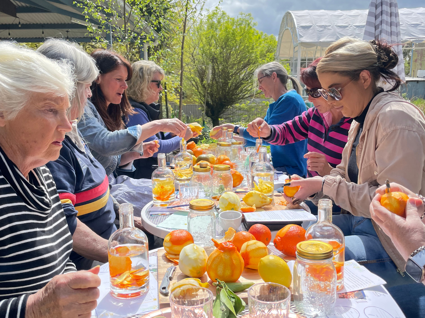 
                  
                    DIY Limoncello Workshop
                  
                