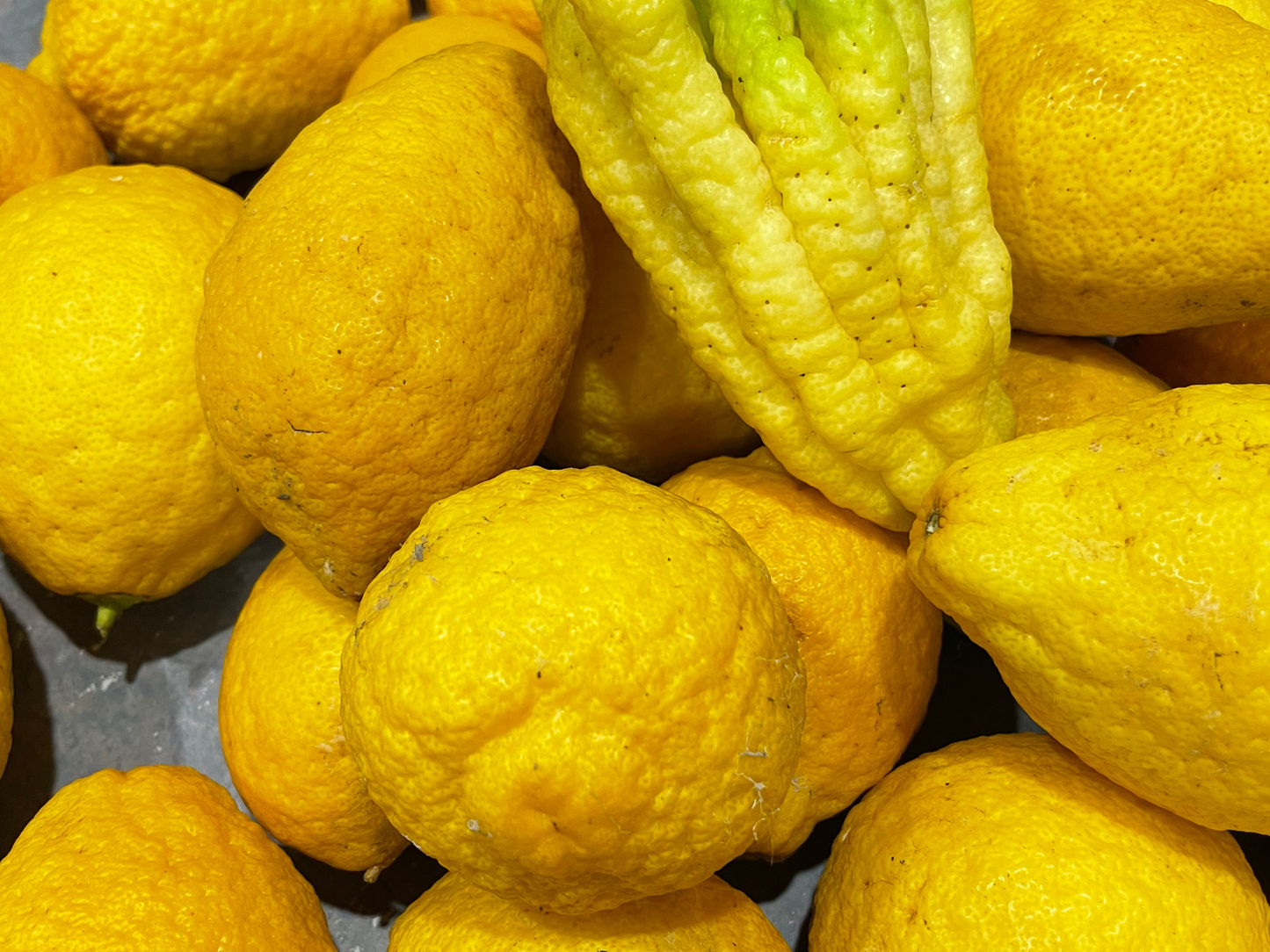
                  
                    DIY Limoncello Workshop
                  
                