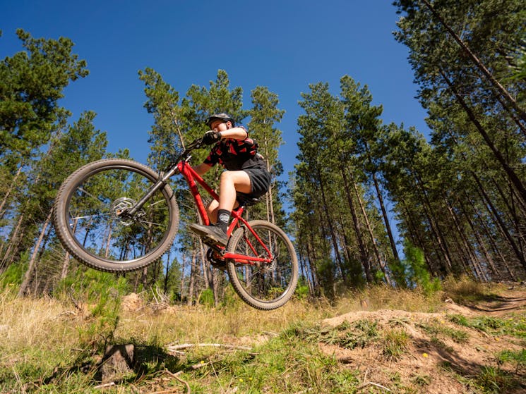 Mountain Biking Tumbarumba Masons Hill